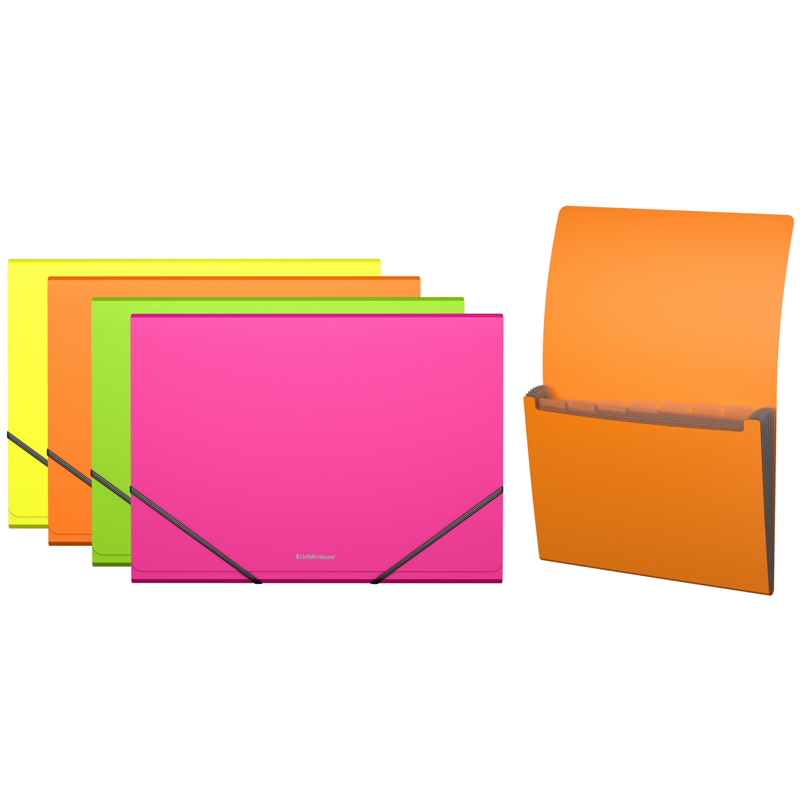 Папка-картотека пластиковая  ErichKrause Neon, с 6 отделениями, A4, ассорти