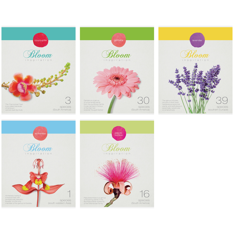 Тетрадь 40л., А5, клетка ArtSpace "Цветы. Bloom inspiration"
