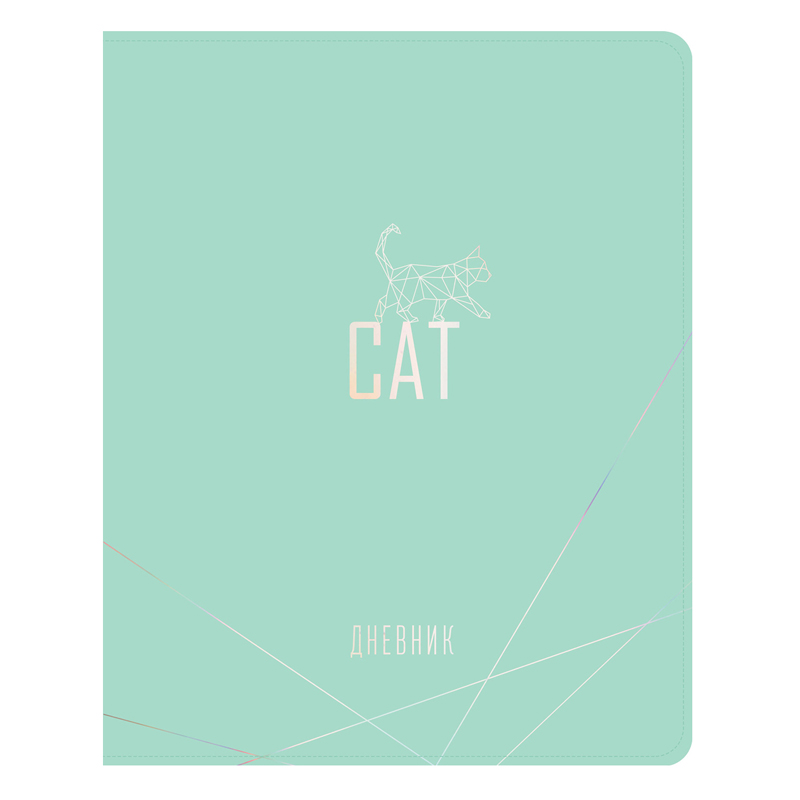Дневник 1-11 кл. 48л. ЛАЙТ ArtSpace "Mint cat", иск. кожа, фольга, ляссе