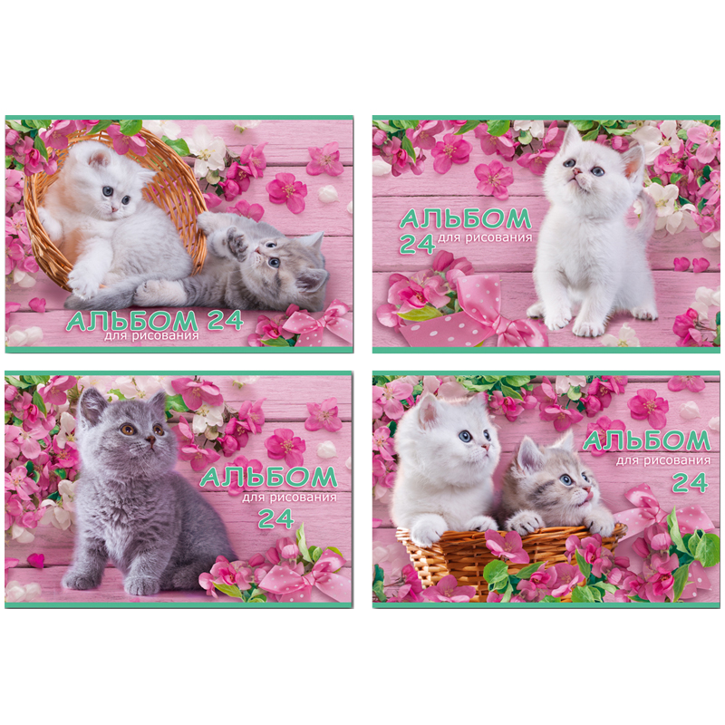 Альбом для рисования 24л., А4, на гребне BG "Котенок на розовом фоне", эконом