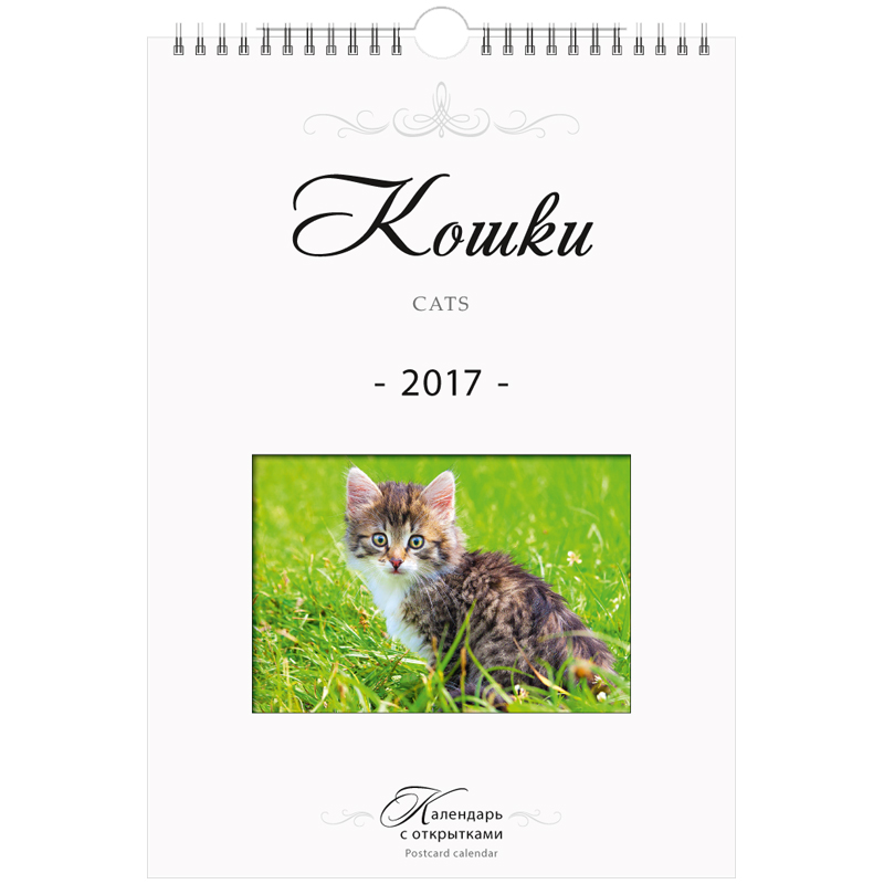 Календарь настенный перекидной "Кошки", 21*30 см, с открытками, с ригелем