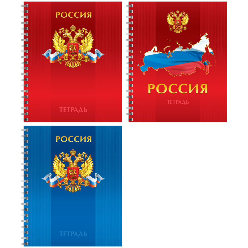 Тетрадь 96л. А5 клетка на гребне "Россия"