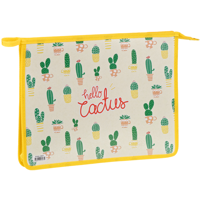 Папка для тетрадей 1 отделение, А4, ArtSpace "Cactus", пластик, на молнии