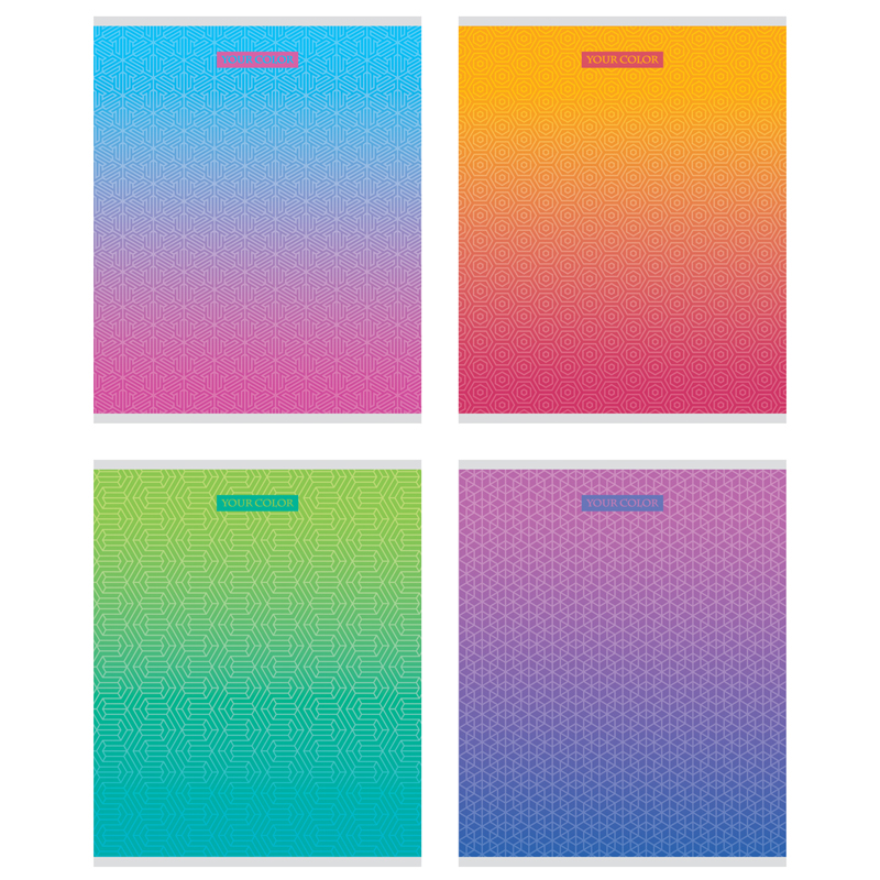 Тетрадь 48л., А5, клетка BG "Color line", эконом