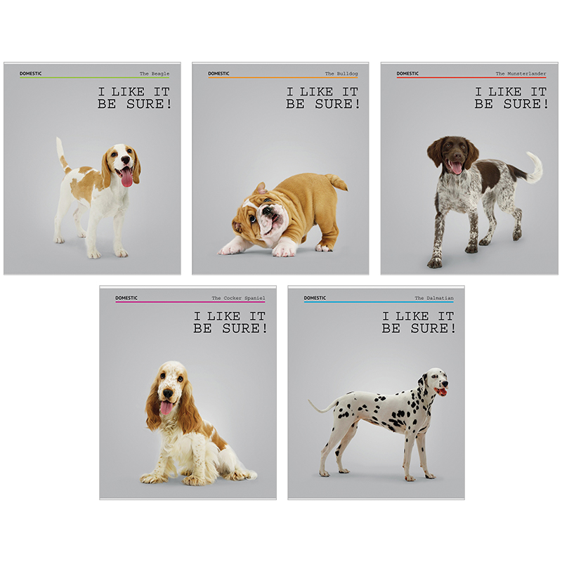 Тетрадь 40л., А5, линия ArtSpace "Питомцы. Dogs. I like it!"