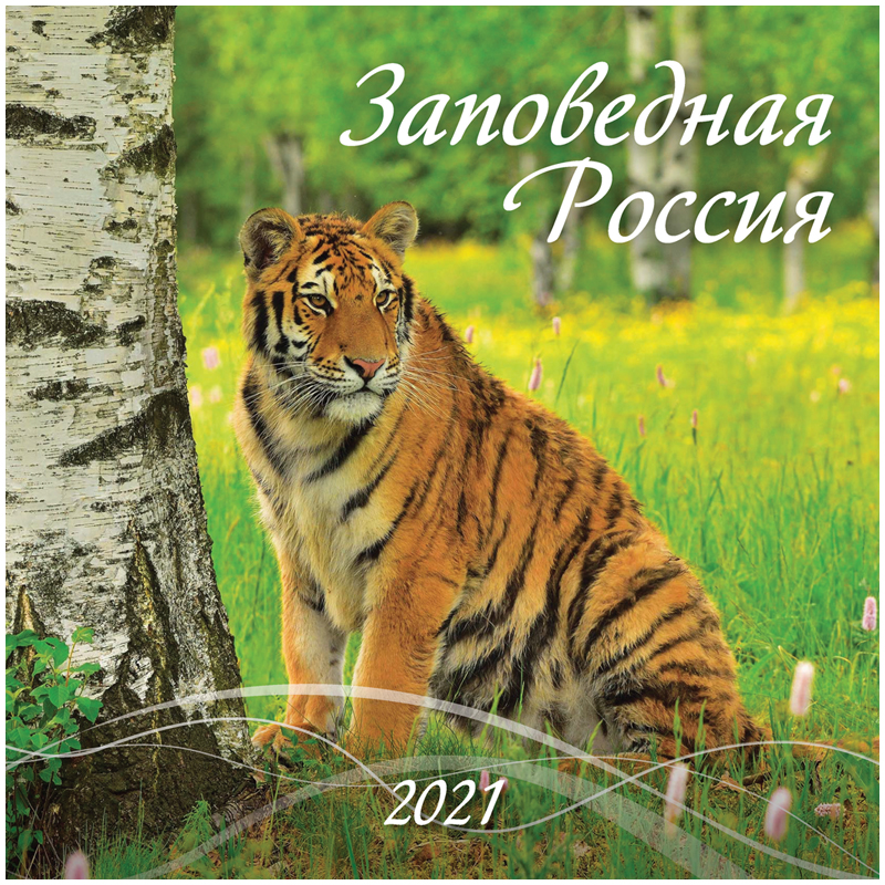 Календарь настенный перекидной на скрепке, 28,5*28,5 12 л. Атберг 98 "Заповедная Россия", 2021