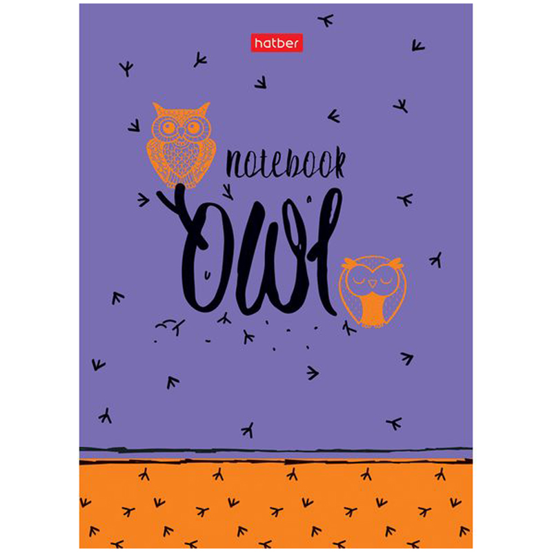 Бизнес-блокнот А6, 160л., Hatber "Night owl"