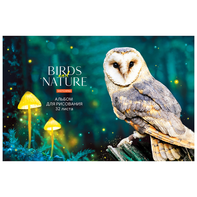 Альбом для рисования 32л., А4, на скрепке ArtSpace "Животные. Birds and nature"