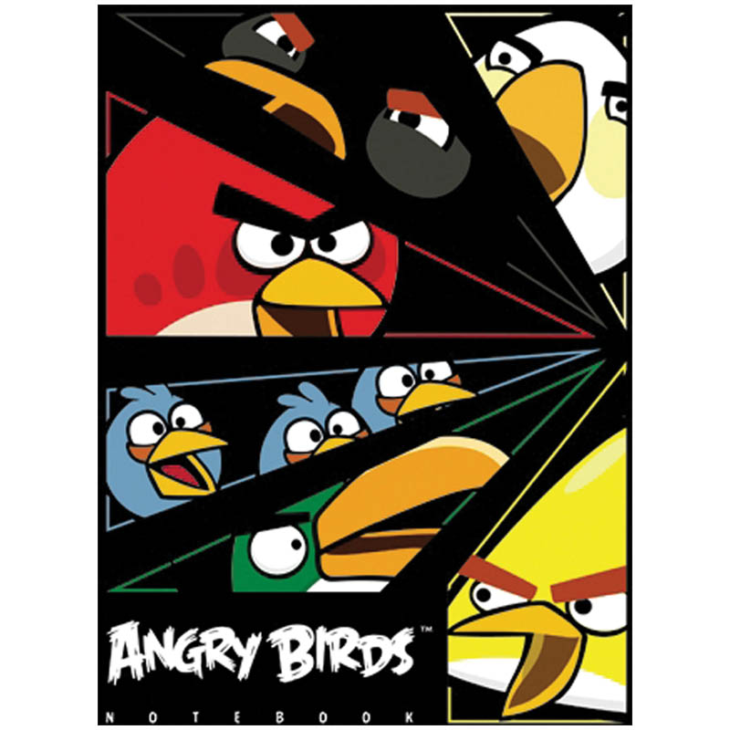 Бизнес-блокнот А5 80л. "Angry birds", 5-цветный блок