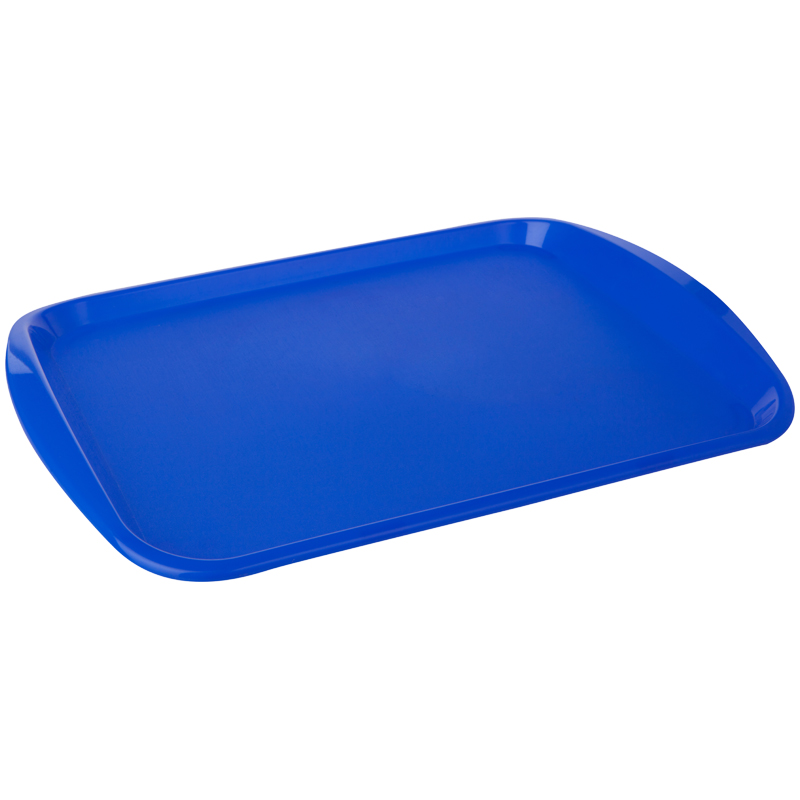 Поднос PlastTeam, прямоугольный, 435*305мм, пластик, синий