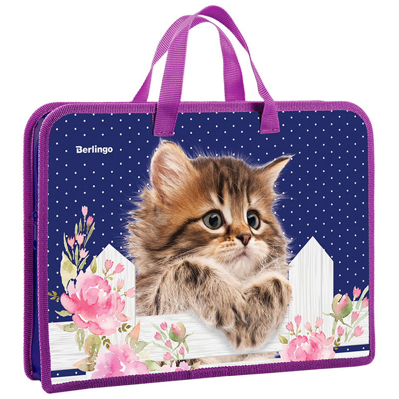 Папка с ручками 340*245*40 Berlingo "Princess cat", А4, 1 отделение, пластик, на молнии