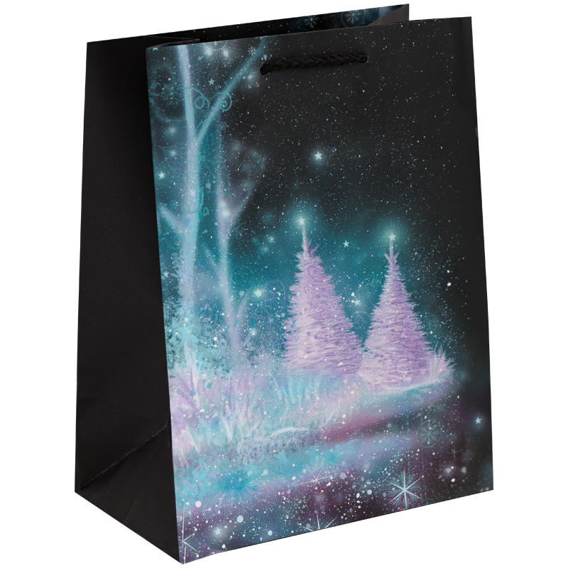 Пакет подарочный новогодний 22,8*17,8*10,2см, ArtSpace "Winter forest", матовая ламинация