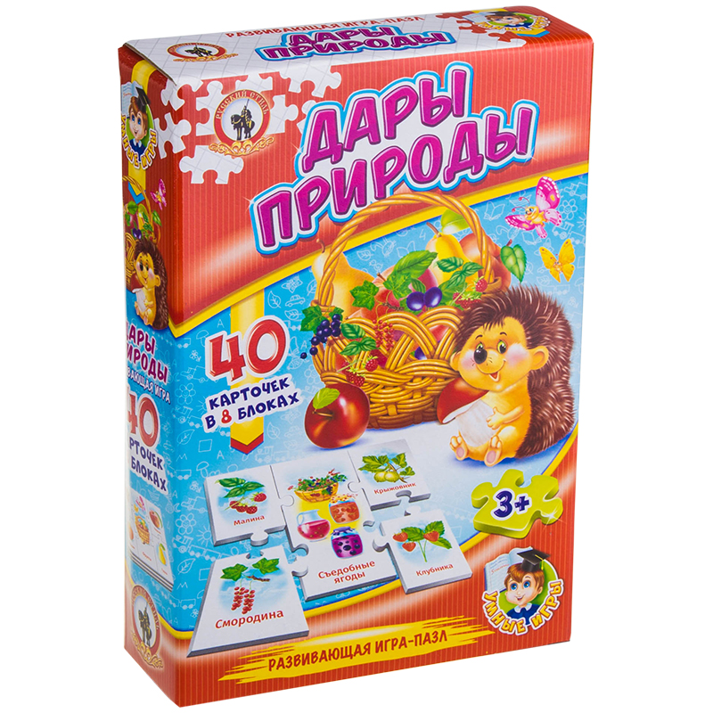 Игра настольная Русский стиль "Умные игры. Дары природы", картонная коробка