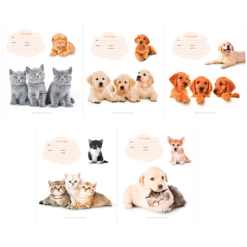 Тетрадь 24л., линия ArtSpace "Pets"