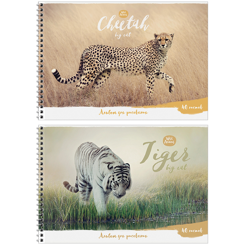 Альбом для рисования 40л., А4, на гребне ArtSpace "Животные. Wild animal"