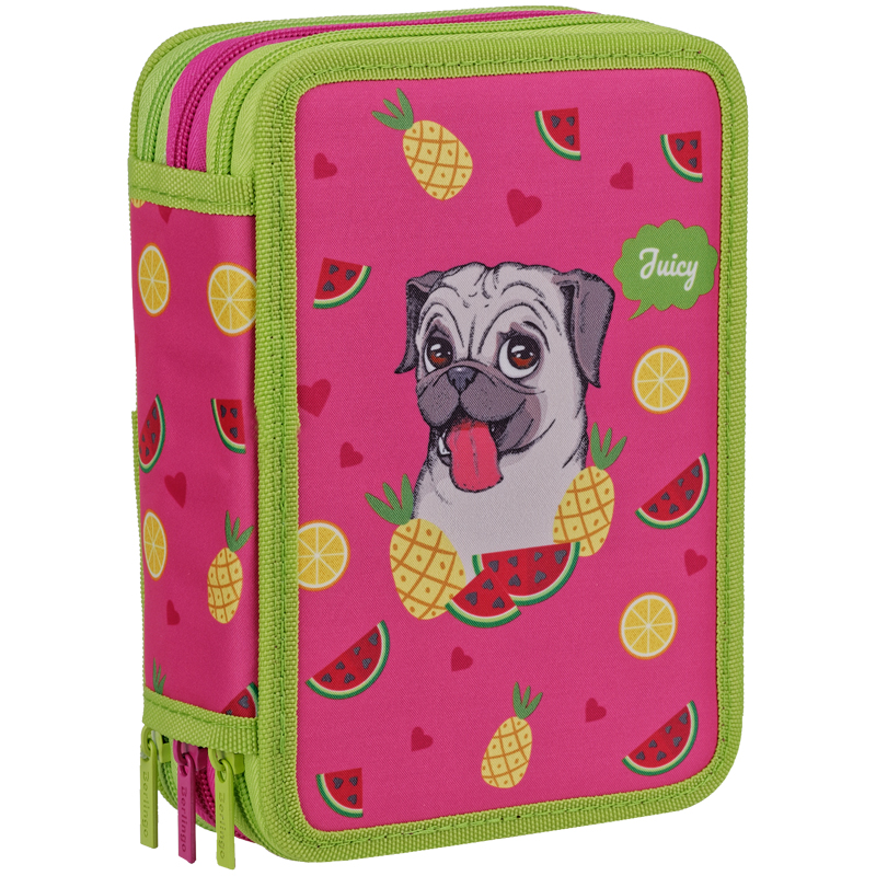 Пенал 3 отделения, 200*140*60 Berlingo "Juicy Pug", полиэстер