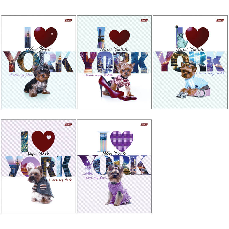 Тетрадь 48л., А5, клетка Hatber "I love York", выборочный лак