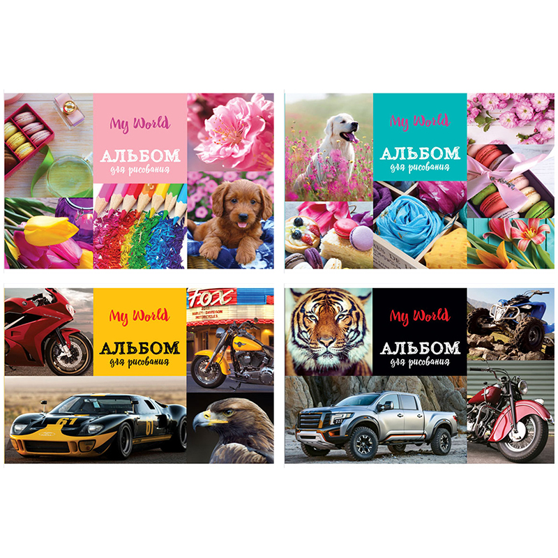 Альбом для рисования 48л., А4, на гребне BG "Special world", эконом