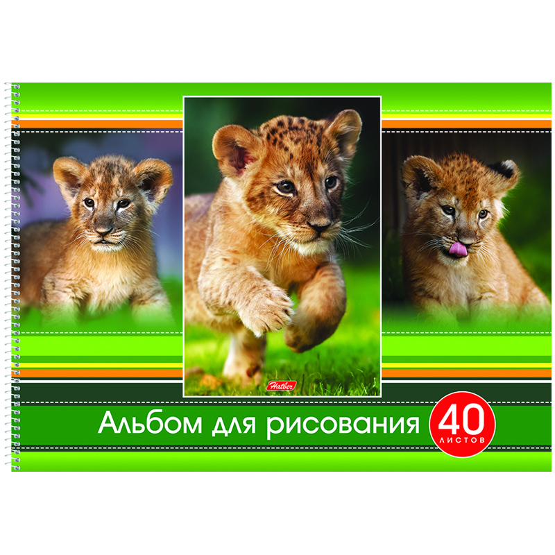 Альбом для рисования 40л., А3, на спирали Hatber "Тигрята", жесткая подложка