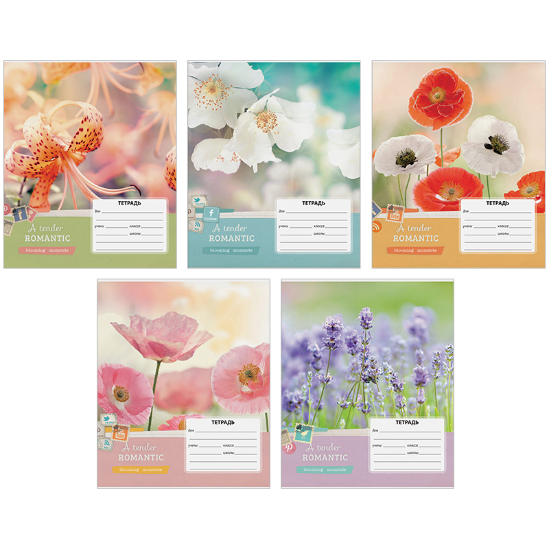Тетрадь 12л., линия ArtSpace "Цветы. Blooming moments"
