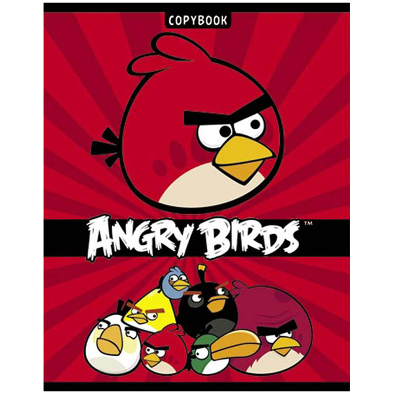 Тетрадь 24л. клетка "Angry Birds"