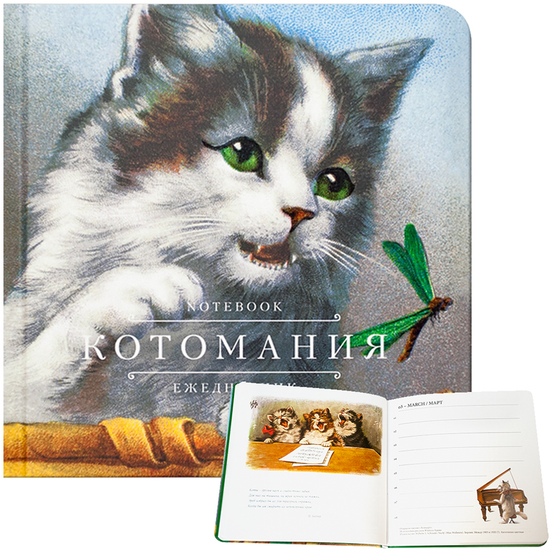Блокнот-ежедневник 140*140 мм 48л. "Котомания (зеленый)", с иллюстрациями