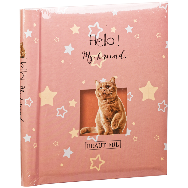 Фотоальбом магнитный 10 листов 23*28см, внутренняя спираль, ArtSpace "Hello, cat"