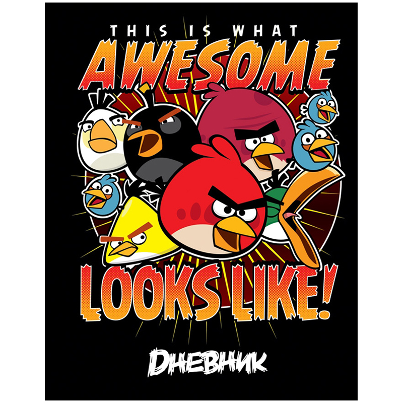 Дневник 1-11 кл. 40л. (твердый) "Angry Birds", полноцв. печать