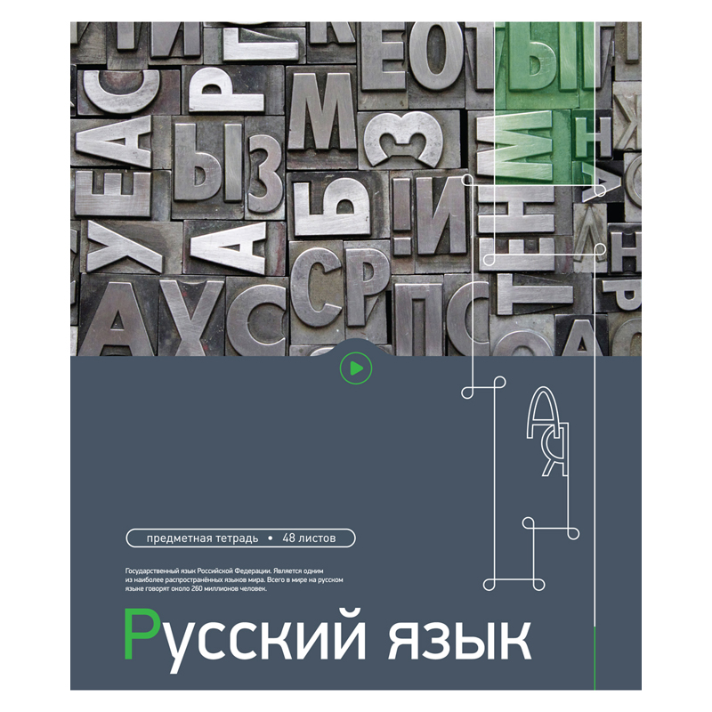 Тетрадь тематическая 48л. "Новый стиль" - Русский язык, ТВИН-лак