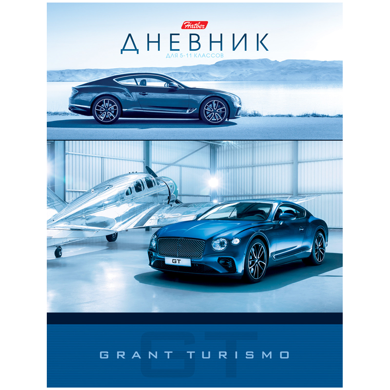 Дневник 5-11 кл. 48л. (твердый) "АвтоЛюкс", поролон