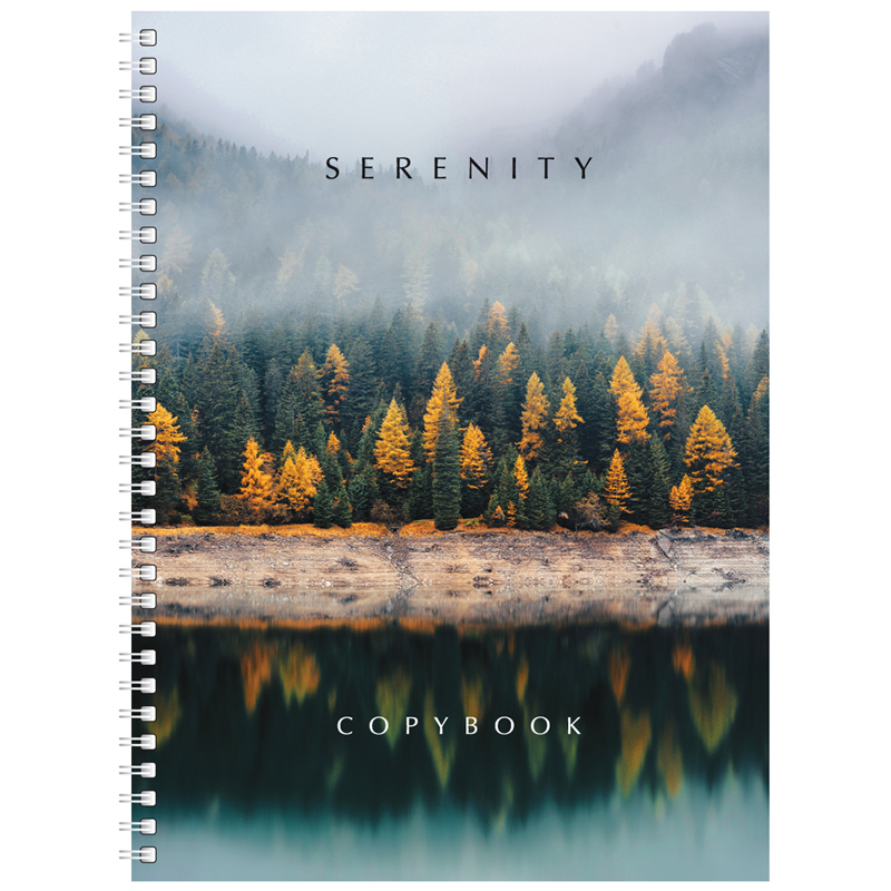 Тетрадь 80л., А4, клетка, на гребне BG "Serenity"