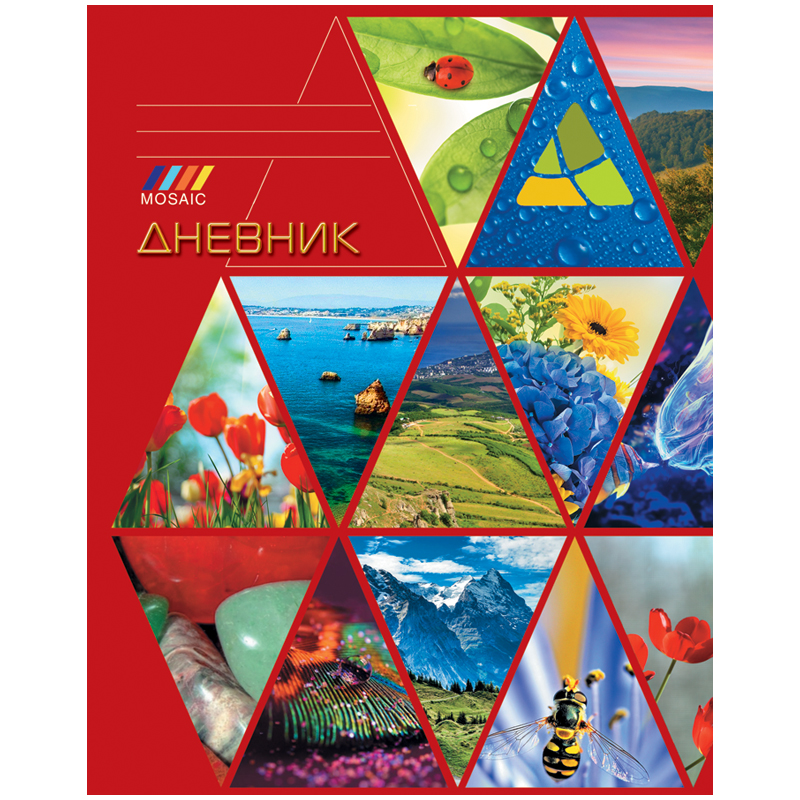 Дневник 5-11 кл. 48л. (твердый) "Краски природы", выборочный уф-лак