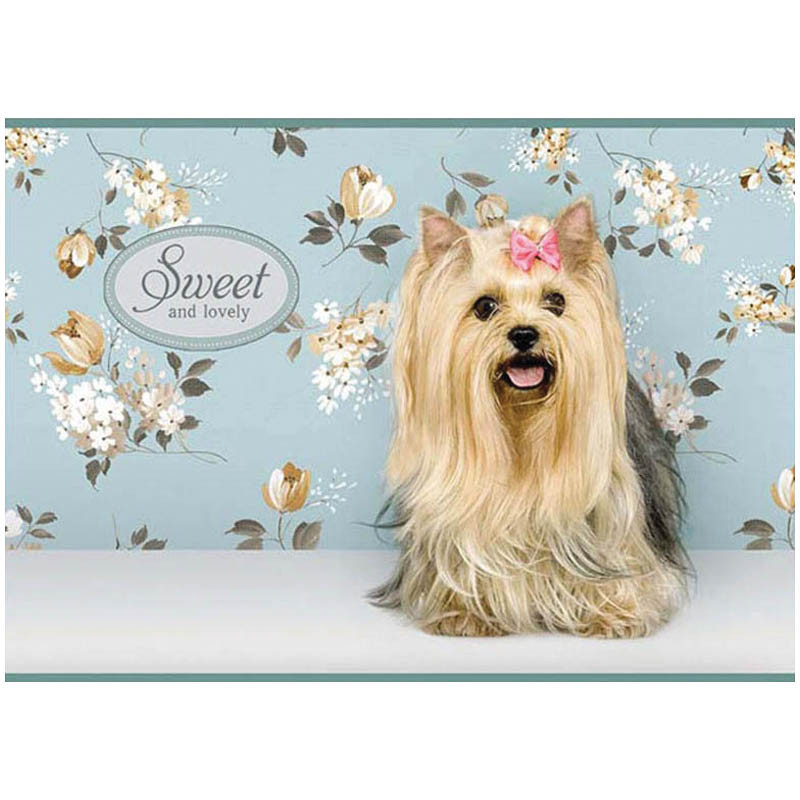 Альбом для рисования 40л. А4 на скрепке "Питомцы. Sweet pets", блок 100 г/м2