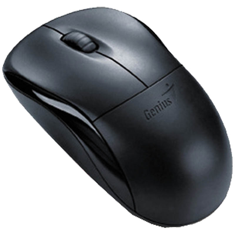 Мышь беспроводная Genius NS-6000 USB черный