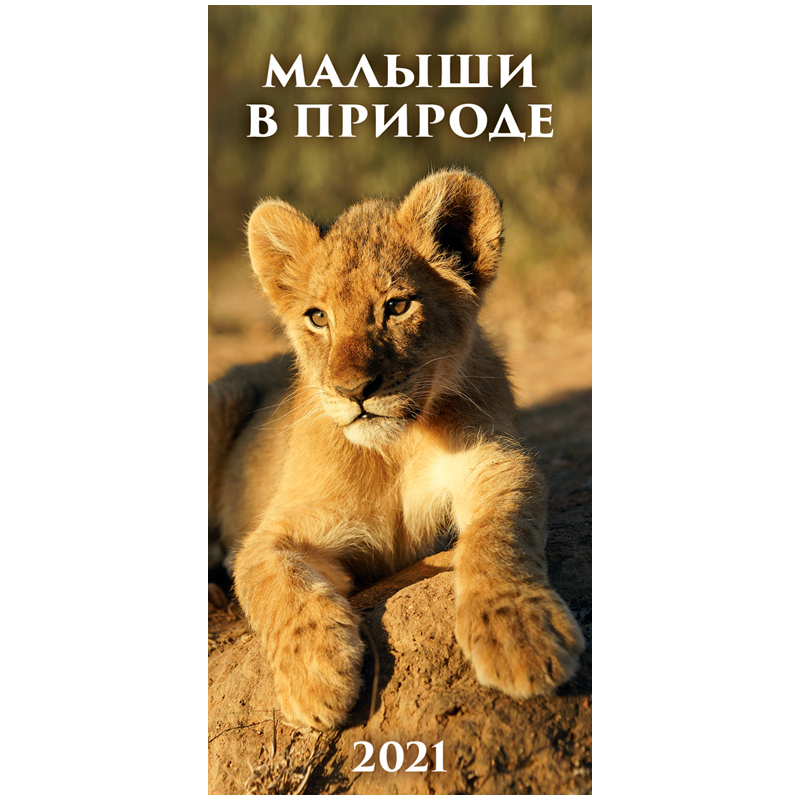 Календарь настенный перекидной на гребне, 16,5*33,5 6 л. Атберг 98 "Малыши в природе", 2021