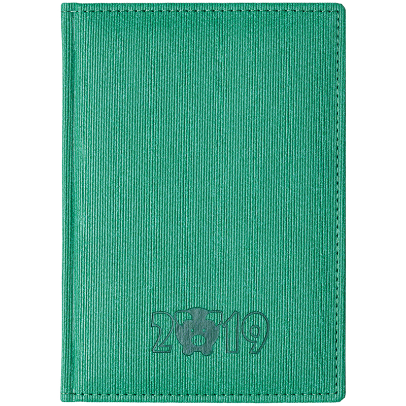Ежедневник датированный 2019г., A5, 176л., кожзам, Hatber "Corduroy. Символ года", зеленый