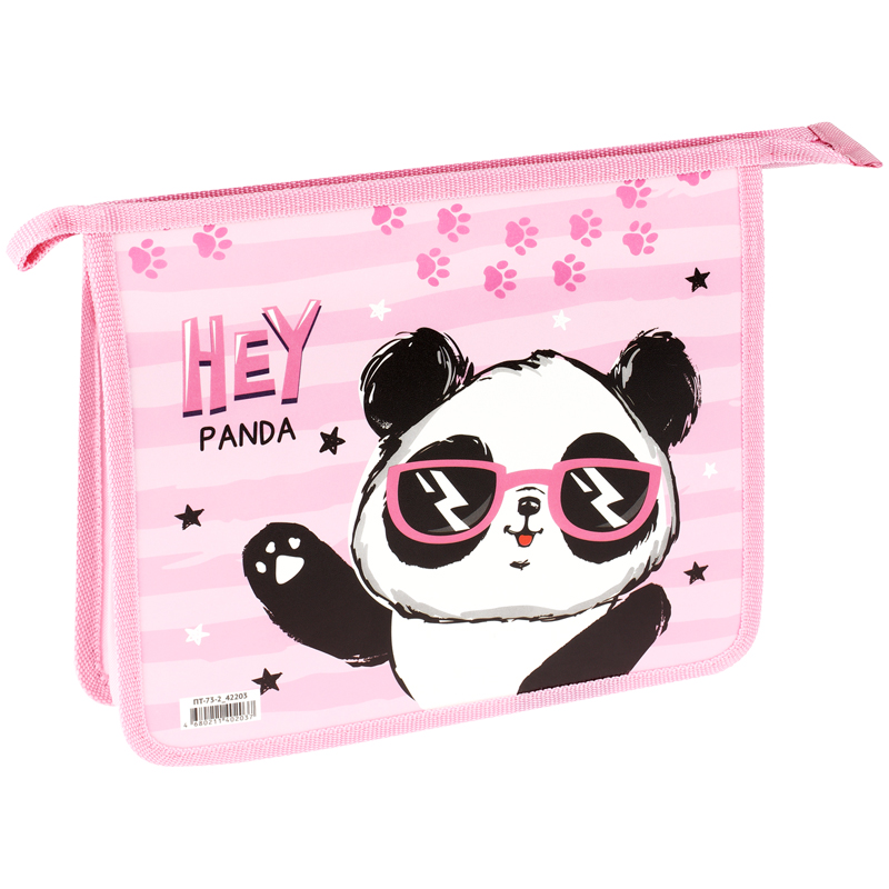 Папка для тетрадей 2 отделения А5 ArtSpace "Panda", пластик, на молнии